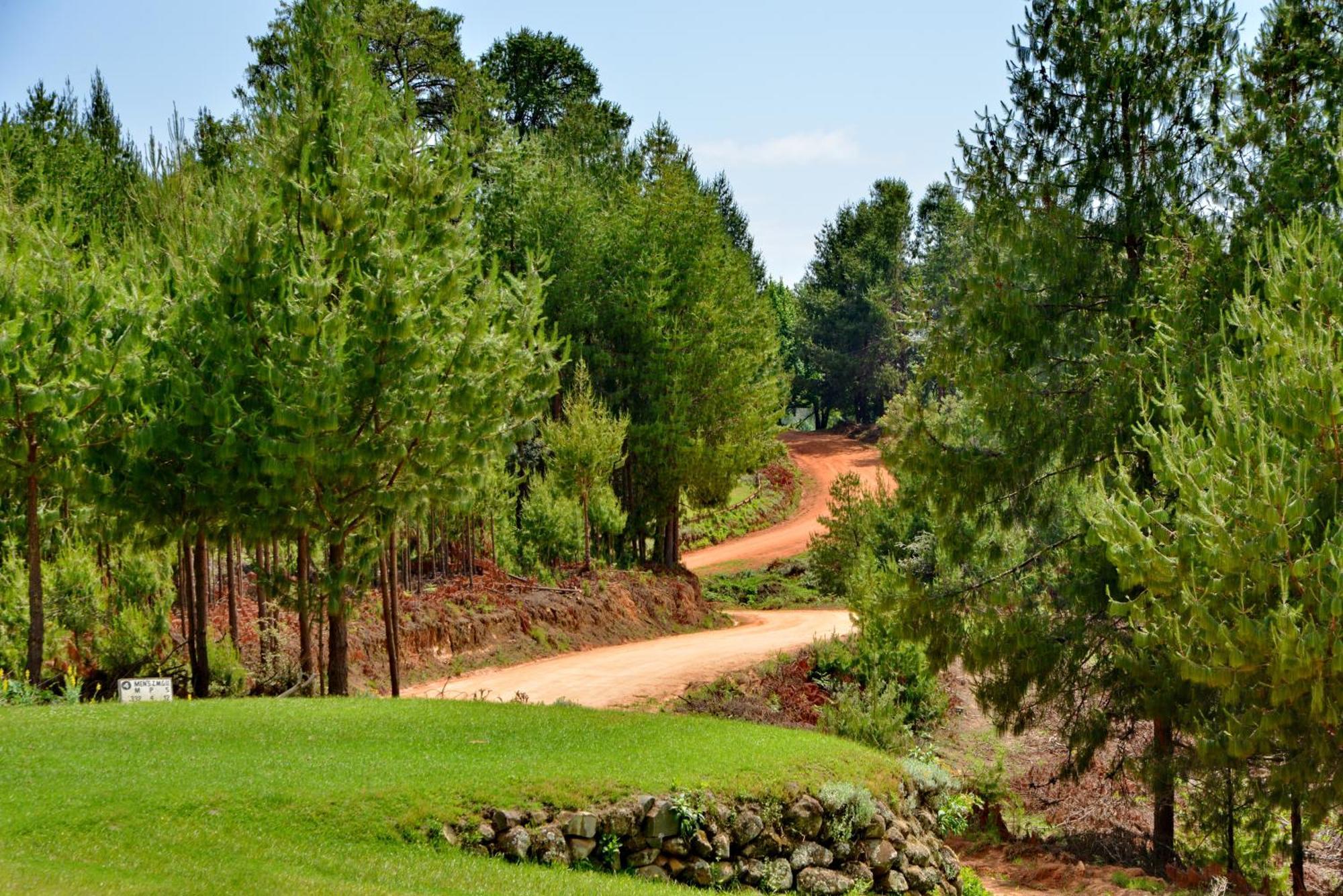Troutbeck Resort Nyanga Bagian luar foto